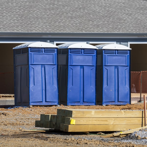 how often are the porta potties cleaned and serviced during a rental period in Kintnersville